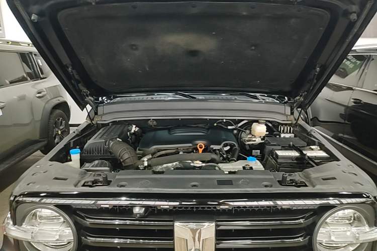 Used Tank 300 2021 Off-Road Edition 2.0T Conqueror Engine Bay