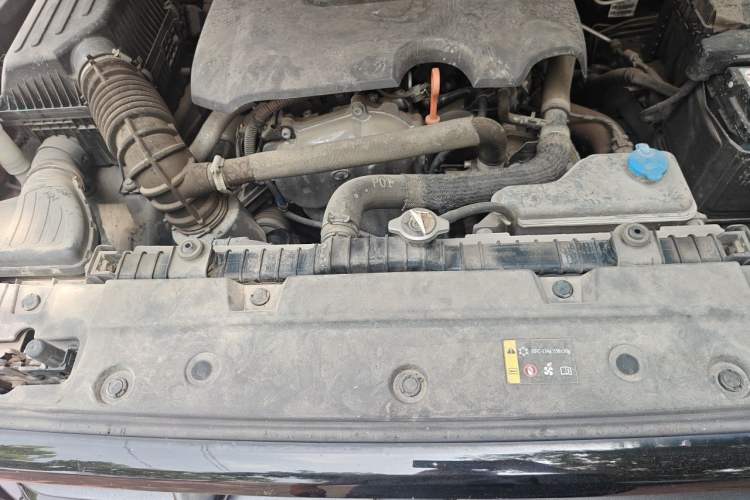 Used Tank 300 2021 Off-Road Edition 2.0T Conqueror Engine Bay