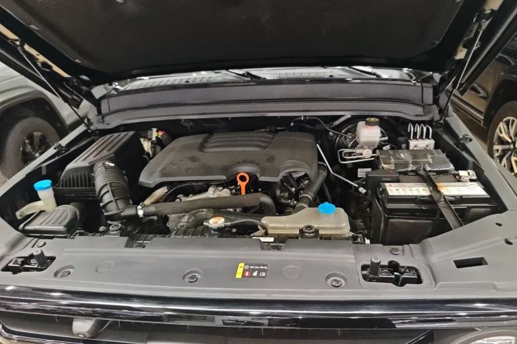 Used Tank 300 2021 Off-Road Edition 2.0T Conqueror Engine Bay