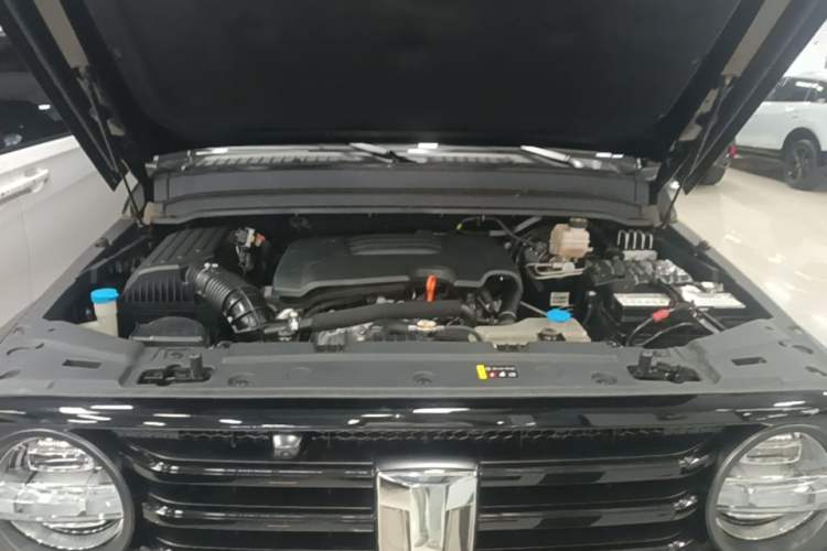 Used Tank 300 2021 Off-Road Edition 2.0T Conqueror Engine Bay