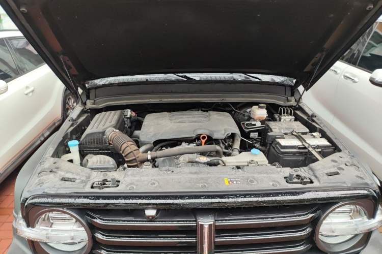 Used Tank 300 2021 Off-Road Edition 2.0T Conqueror Engine Bay