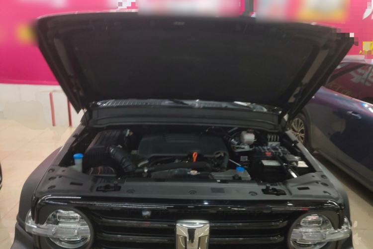 Used Tank 300 2021 Off-Road Edition 2.0T Conqueror Engine Bay