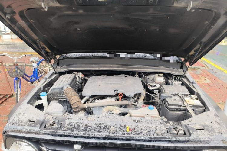 Used Tank 300 2021 Off-Road Edition 2.0T Conqueror Engine Bay
