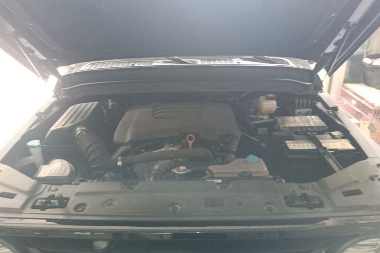Used Tank 300 2021 Off-Road Edition 2.0T Conqueror Engine Bay
