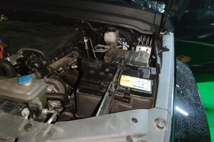Used Tank 300 2021 City Edition 2.0T My Vision Model Engine Bay Left