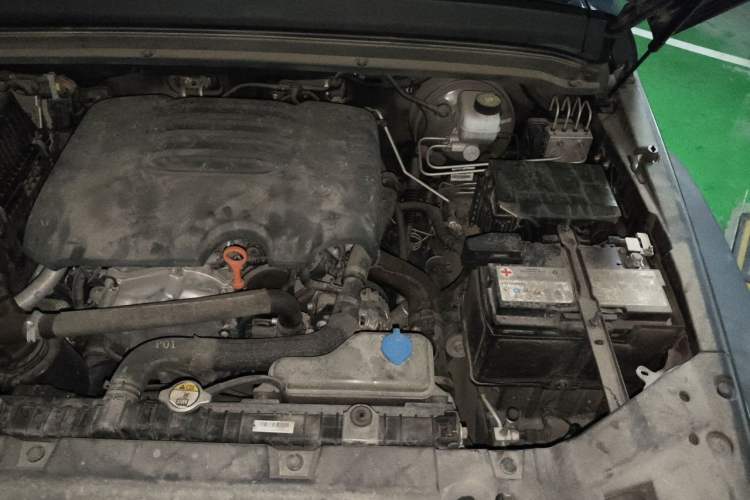 Used Tank 300 2021 Off-Road Edition 2.0T Challenger Engine Bay Left