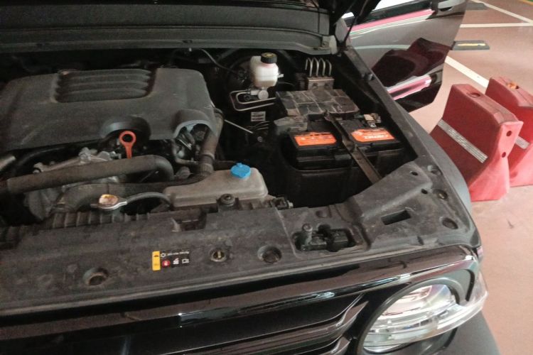 Used Tank 300 2021 Off-Road Edition 2.0T Conqueror Engine Bay Left