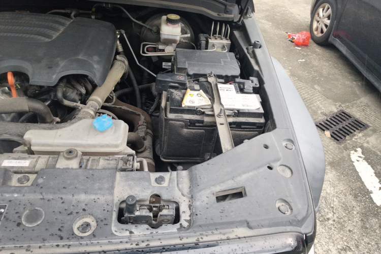 Used Tank 300 2021 Off-Road Edition 2.0T Conqueror Engine Bay Left