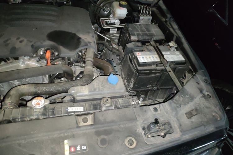 Used Tank 300 2021 Off-Road Edition 2.0T Conqueror Engine Bay Left