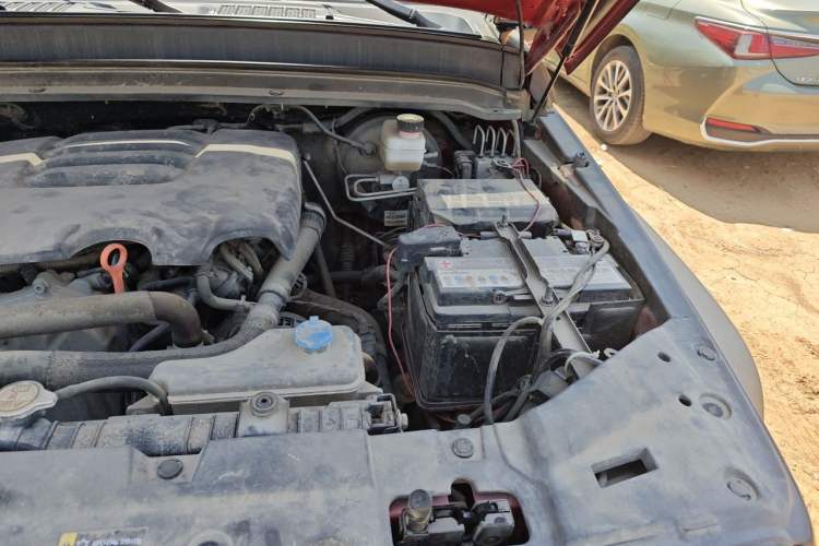 Used Tank 300 2021 Off-Road Edition 2.0T Conqueror Engine Bay Left