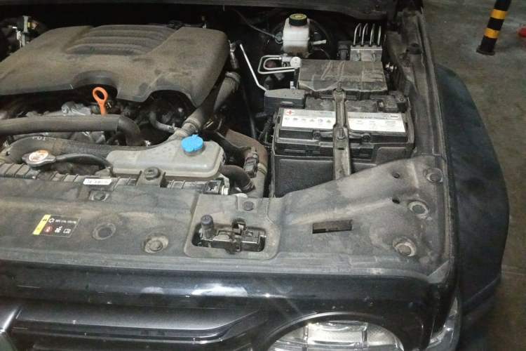 Used Tank 300 2021 Off-Road Edition 2.0T Challenger Engine Bay Left