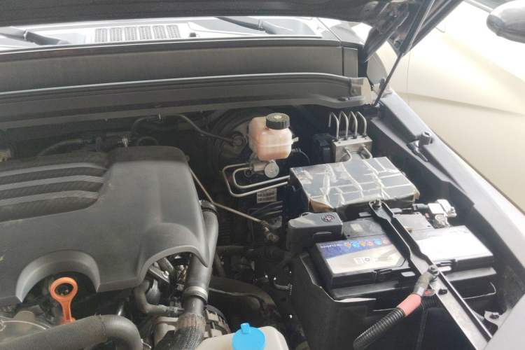 Used Tank 300 2021 Off-Road Edition 2.0T Conqueror Engine Bay Left