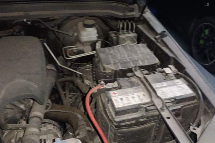 Used Tank 300 2021 Off-Road Edition 2.0T Conqueror Engine Bay Left