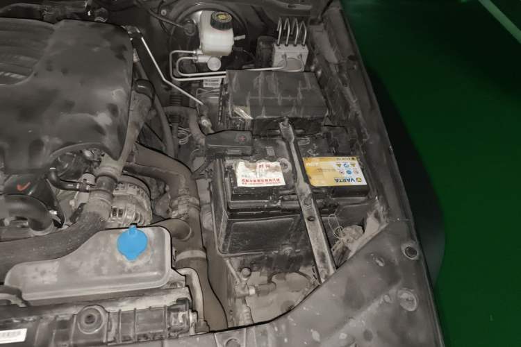 Used Tank 300 2021 Off-Road Edition 2.0T Conqueror Engine Bay Left