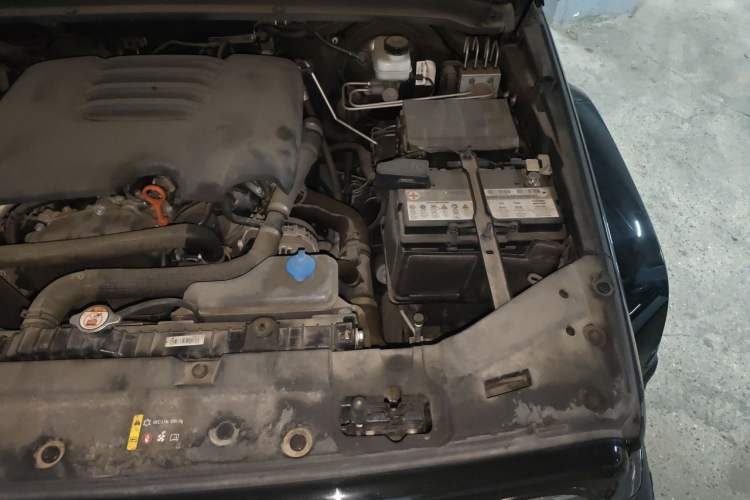 Used Tank 300 2021 City Edition 2.0T—Truly Stylish Engine Bay Left