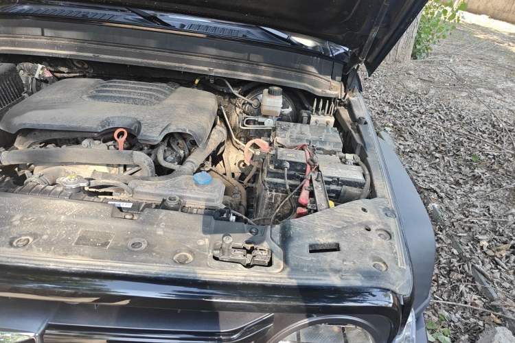 Used Tank 300 2021 Off-Road Edition 2.0T Conqueror Engine Bay Left