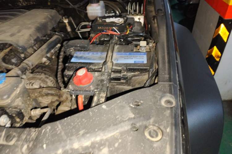 Used Tank 300 2021 Off-Road Edition 2.0T Conqueror Engine Bay Left