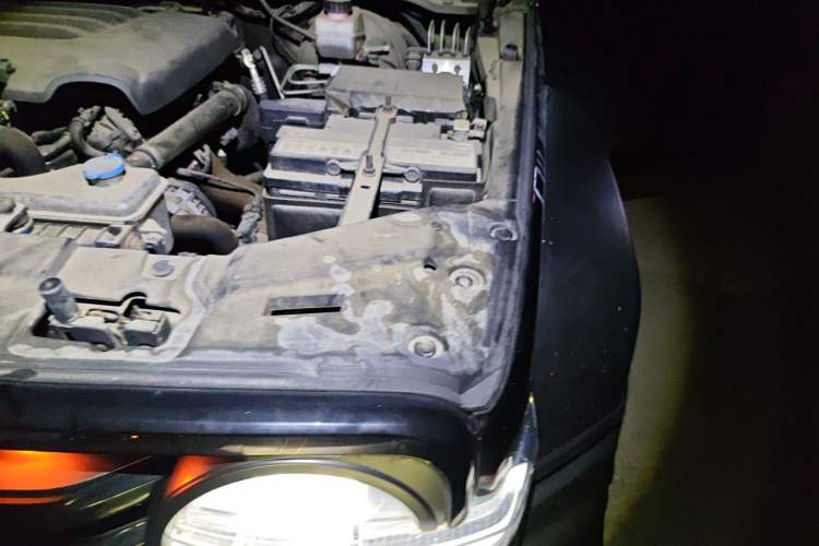 Used Tank 300 2021 Off-Road Edition 2.0T Conqueror Engine Bay Left
