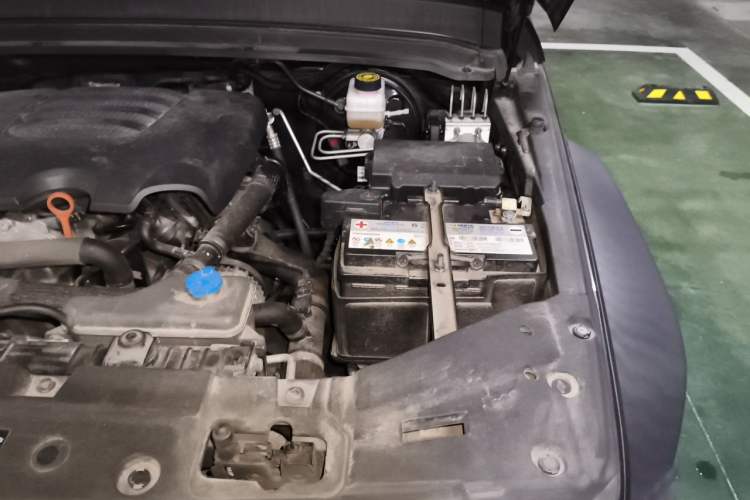 Used Tank 300 2021 Off-Road Edition 2.0T Conqueror Engine Bay Left