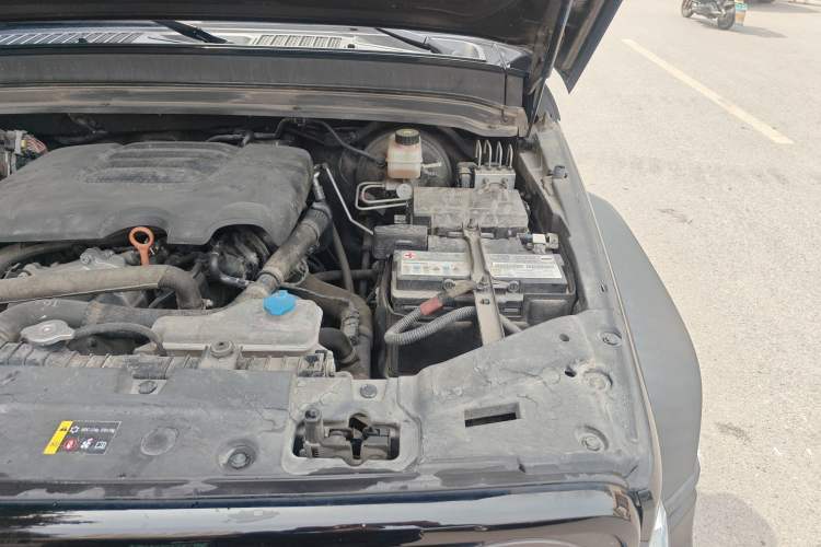 Used Tank 300 2021 Off-Road Edition 2.0T Conqueror Engine Bay Left