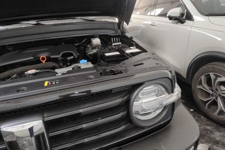 Used Tank 300 2021 Off-Road Edition 2.0T Conqueror Engine Bay Left