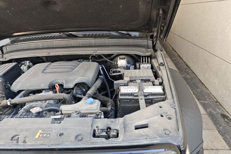 Used Tank 300 2021 Off-Road Edition 2.0T Conqueror Engine Bay Left