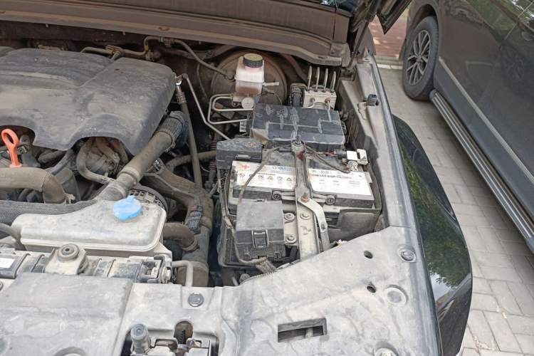 Used Tank 300 2021 City Edition 2.0T—Truly Stylish Engine Bay Left