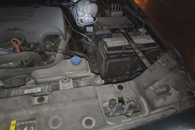 Used Tank 300 2021 Off-Road Edition 2.0T Conqueror Engine Bay Left