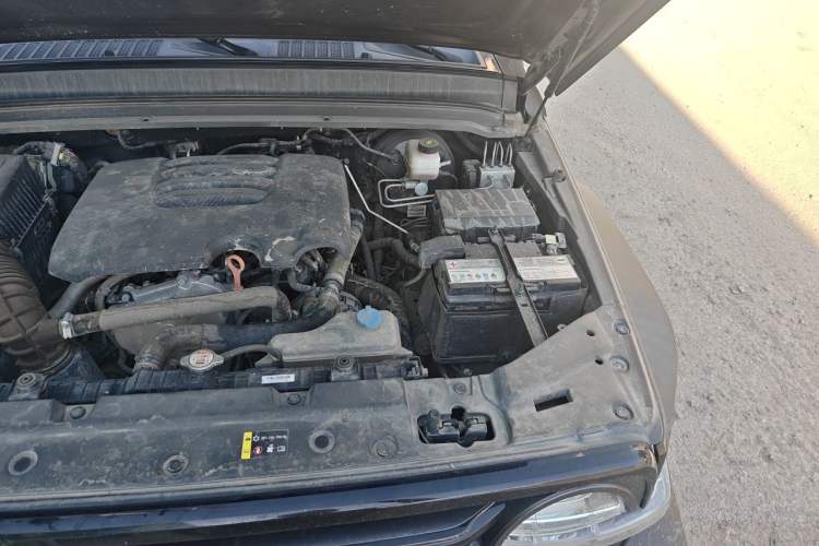 Used Tank 300 2021 Off-Road Edition 2.0T Conqueror Engine Bay Left