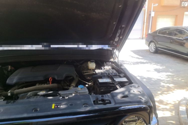 Used Tank 300 2021 Off-Road Edition 2.0T Conqueror Engine Bay Left