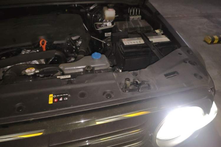 Used Tank 300 2021 Off-Road Edition 2.0T Conqueror Engine Bay Left