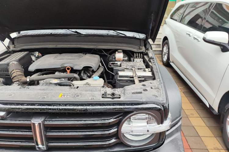 Used Tank 300 2021 Off-Road Edition 2.0T Conqueror Engine Bay Left