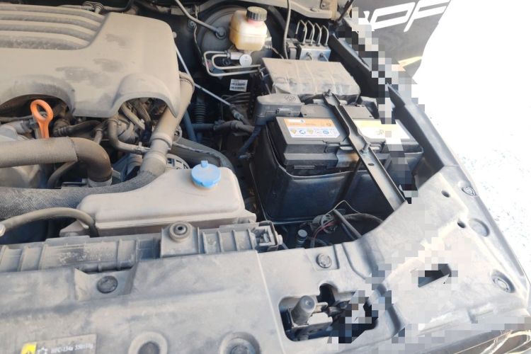 Used Tank 300 2021 Off-Road Edition 2.0T Conqueror Engine Bay Left
