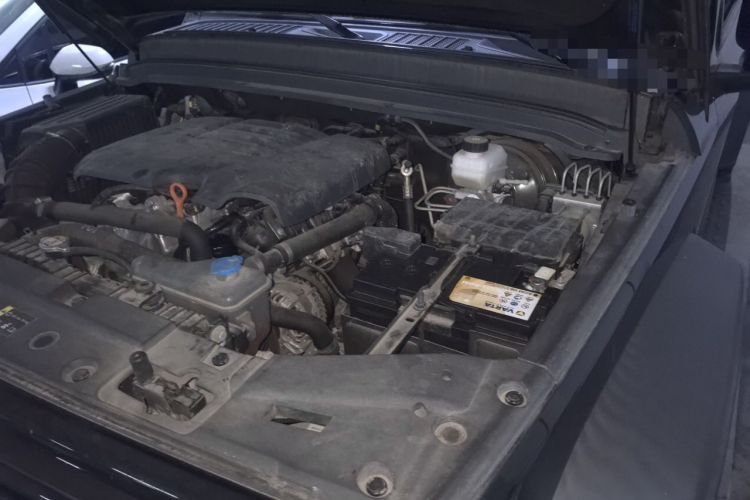 Used Tank 300 2021 Off-Road Edition 2.0T Conqueror Engine Bay Left