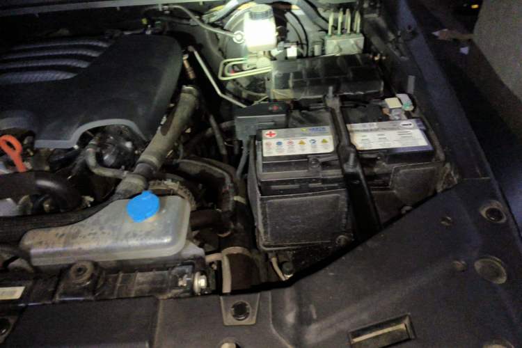 Used Tank 300 2021 Off-Road Edition 2.0T Conqueror Engine Bay Left