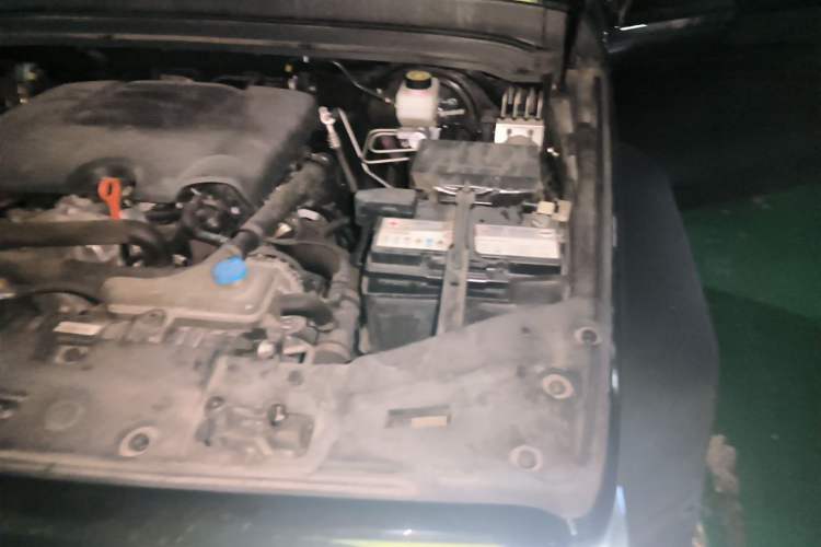 Used Tank 300 2021 Off-Road Edition 2.0T Conqueror Engine Bay Left