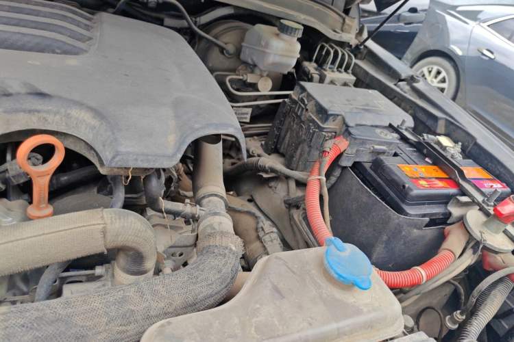 Used Tank 300 2021 Off-Road Edition 2.0T Conqueror Engine Bay Left