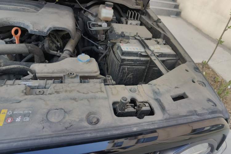 Used Tank 300 2021 Off-Road Edition 2.0T Conqueror Engine Bay Left