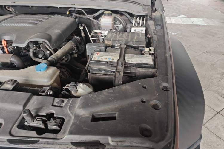 Used Tank 300 2021 Off-Road Edition 2.0T Conqueror Engine Bay Left