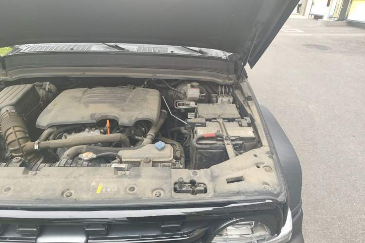 Used Tank 300 2021 Off-Road Edition 2.0T Conqueror Engine Bay Left