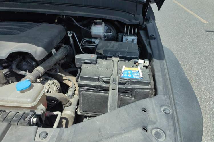 Used Tank 300 2021 Off-Road Edition 2.0T Conqueror Engine Bay Left