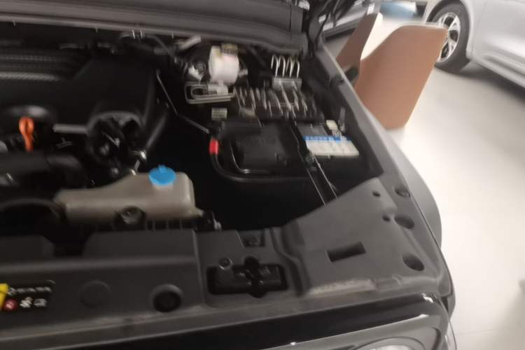 Used Tank 300 2021 Off-Road Edition 2.0T Conqueror Engine Bay Left