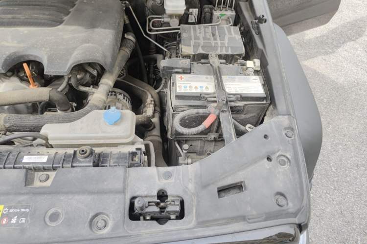 Used Tank 300 2021 Off-Road Edition 2.0T Conqueror Engine Bay Left