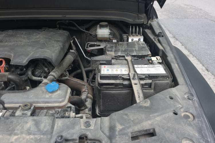 Used Tank 300 2021 Off-Road Edition 2.0T Conqueror Engine Bay Left