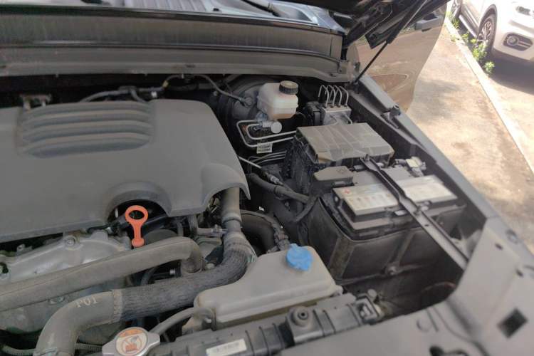 Used Tank 300 2021 Off-Road Edition 2.0T Conqueror Engine Bay Left