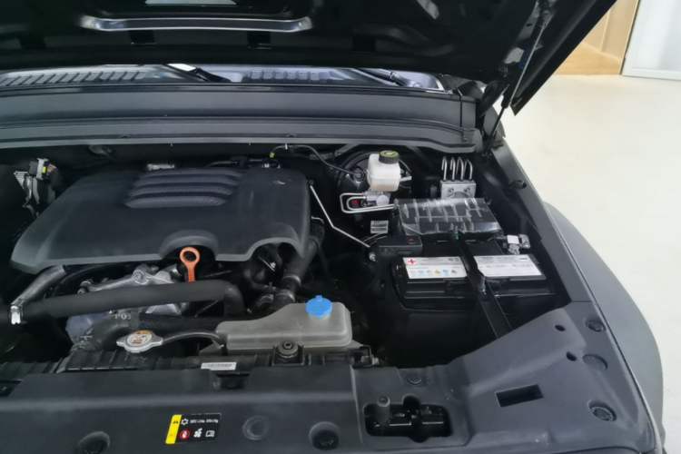 Used Tank 300 2021 Off-Road Edition 2.0T Conqueror Engine Bay Left