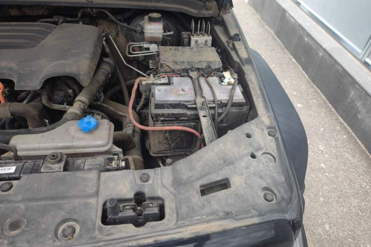 Used Tank 300 2021 Off-Road Edition 2.0T Conqueror Engine Bay Left
