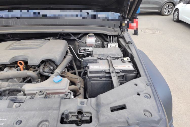 Used Tank 300 2021 Off-Road Edition 2.0T Conqueror Engine Bay Left