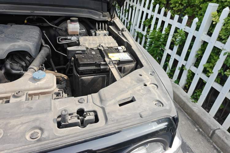 Used Tank 300 2021 Off-Road Edition 2.0T Conqueror Engine Bay Left
