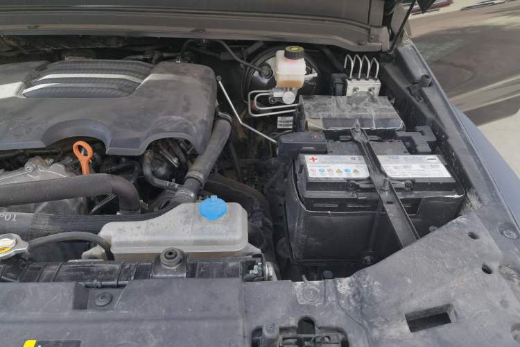 Used Tank 300 2021 Off-Road Edition 2.0T Conqueror Engine Bay Left